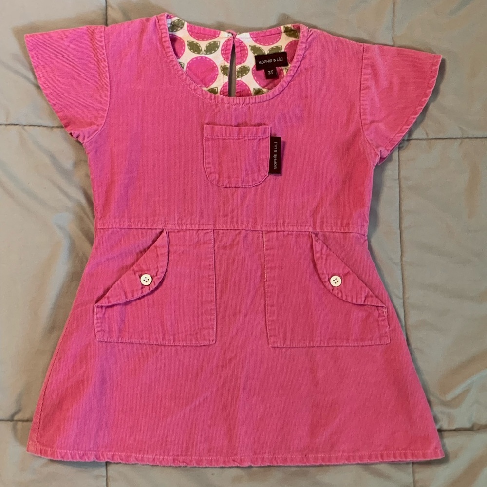 Sophie & Lili Girls 3T Pink Fine Corduroy Tunic Top Dress Toddler Boutique